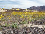 Death Valley 025